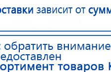 СКЭНАР-1-НТ (исполнение 01) артикул НТ1004 Скэнар Супер Про купить в Тамбове, Аппараты Скэнар купить в Тамбове, Скэнар официальный сайт - denasvertebra.ru