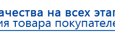 Носки-электроды для аппаратов Дэнас купить в Тамбове, Электроды Дэнас купить в Тамбове, Скэнар официальный сайт - denasvertebra.ru