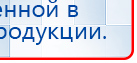 СКЭНАР-1-НТ (исполнение 01) артикул НТ1004 Скэнар Супер Про купить в Тамбове, Аппараты Скэнар купить в Тамбове, Скэнар официальный сайт - denasvertebra.ru